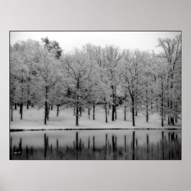 Pôster Winter Reflections (Frente)