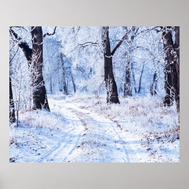 Poster Winter Road (Frente)