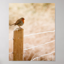 Poster Winter Robin Redbreast