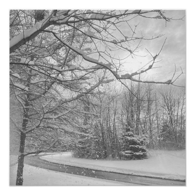 Pôster Winter Silence  (Frente)