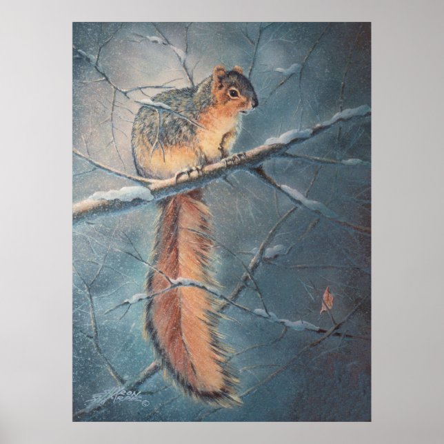 Pôster WINTER SQUIRREL por SHARON SHARPE (Frente)