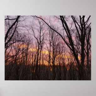 Poster Winter Sunrise II