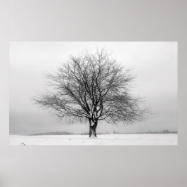 Poster winter tree