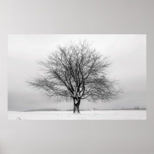 Poster winter tree