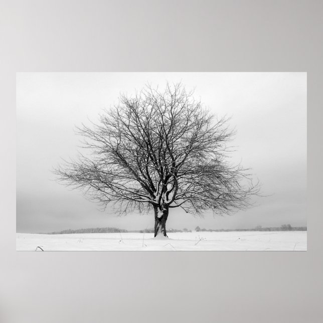 Poster winter tree (Frente)
