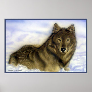 Pôster WInter Wolf