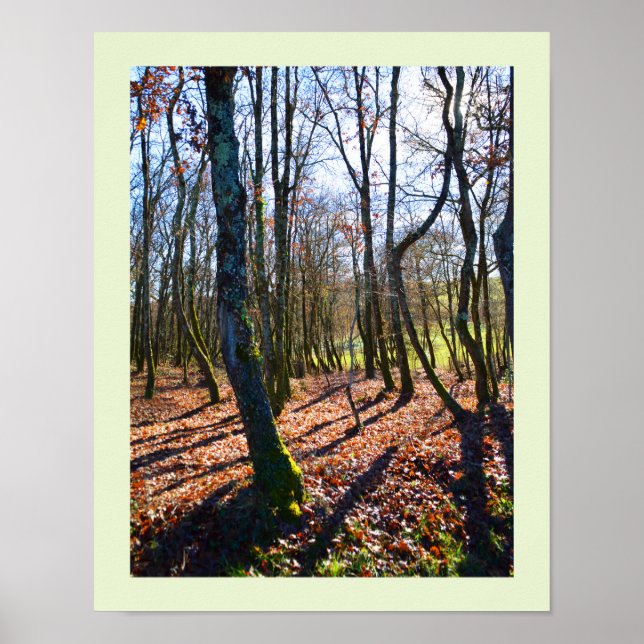 Poster Winter woodland in France (Frente)