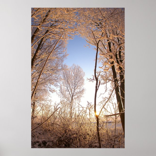 Pôster Wintergate (Frente)