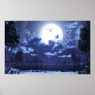 Pôster Wintermoon