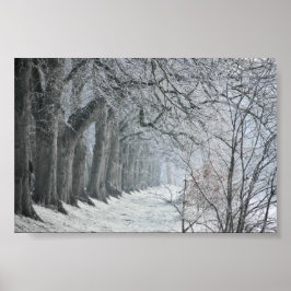 Poster Winters Morning