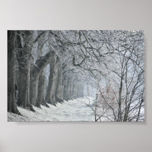 Poster Winters Morning