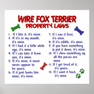 POSTER WIRE FOX TERRIER PL2