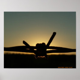 Pôster Wire Wasp Ocidental