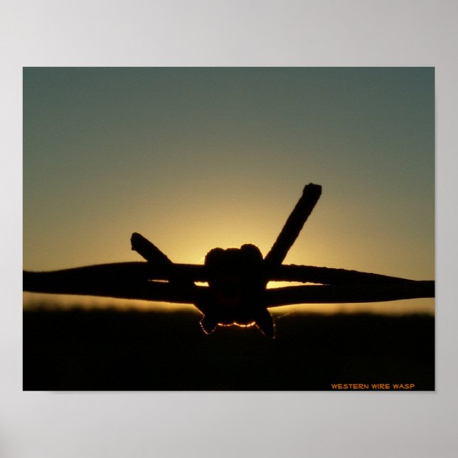 Pôster Wire Wasp Ocidental (Frente)