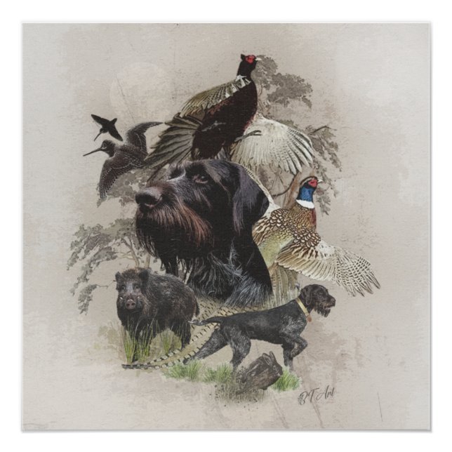 Pôster Wirehaired Pointer, Países Continental (Frente)