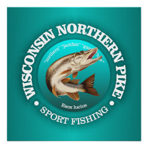 Pôster Wisconsin Pike Fish