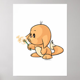 Pôster Wishing orange Kacheek