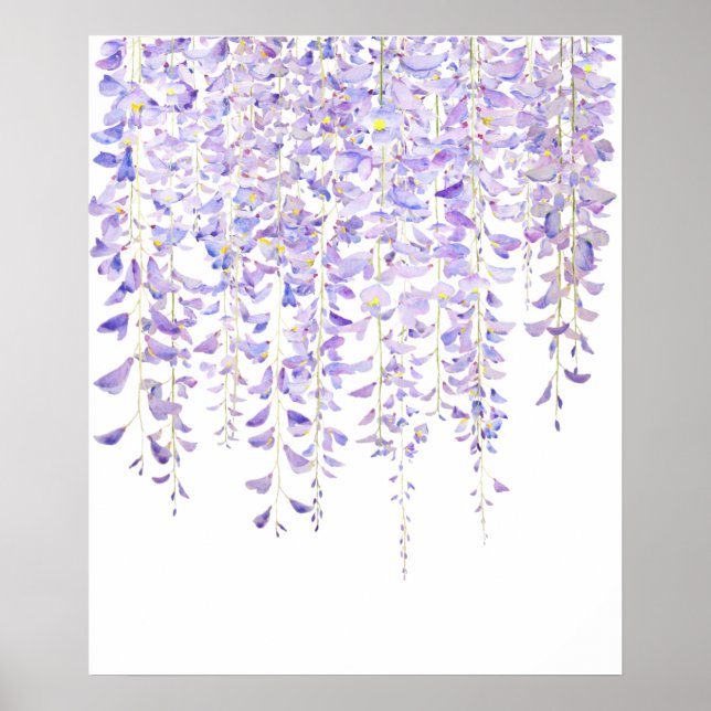 Poster wisteria púrpura em cor d'água florida 2021 (Frente)