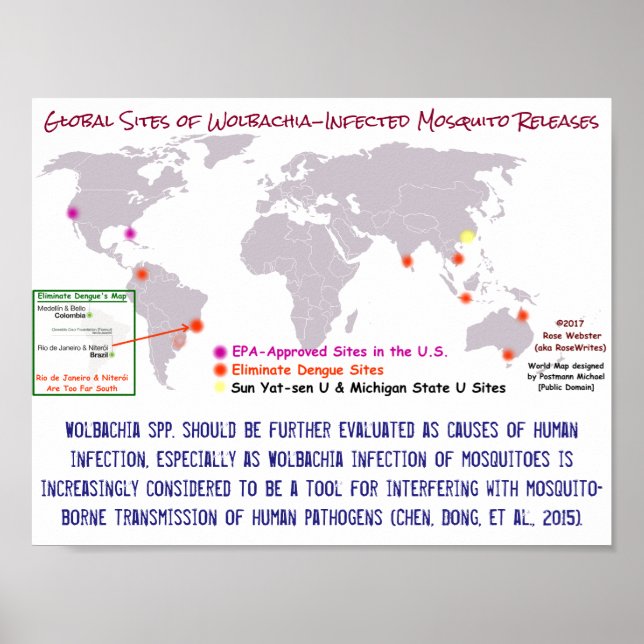 Pôster Wolbachia e Infecção Humana por RoseWrites (Frente)