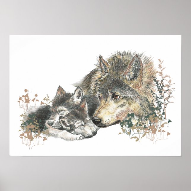Pôster Wolf & Cub de Aquarela (Frente)