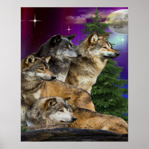 Poster Wolf e Moon