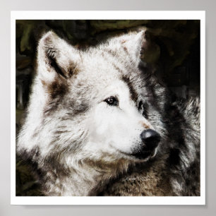 Pôster Wolf Head Study