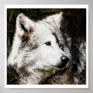 Pôster Wolf Head Study