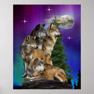 Poster Wolf Howling
