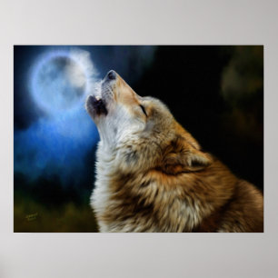 Pôster Wolf Howling Beneath Full Moon