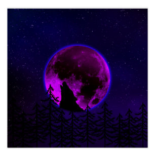 PÔSTER WOLF HOWLING MOON MAGENTA
