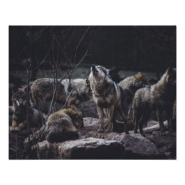 Pôster Wolf Pack