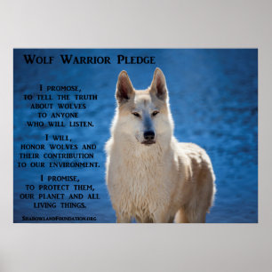 Poster Wolf Warrior