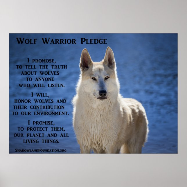 Poster Wolf Warrior (Frente)