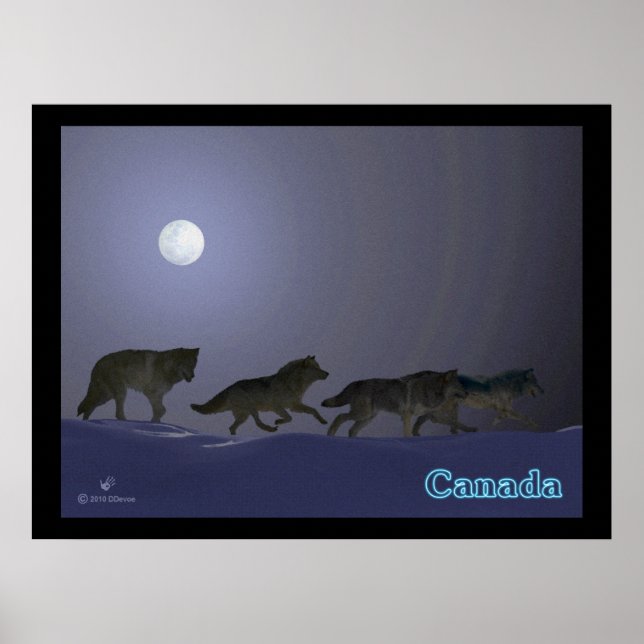 Pôster Wolfpack (Frente)