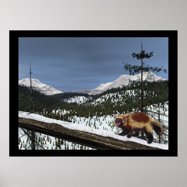 Pôster Wolverine (Frente)