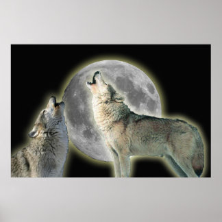 Poster Wolves Howling em Moon Canvas Print