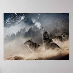 Poster Wolves Howling Na Lua Do cheio