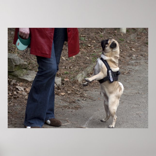 Pôster Womanizer (Frente)