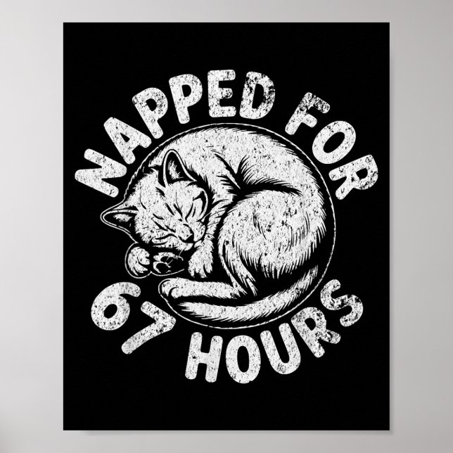 Poster Women Napped For 67 Hours Funny Cat Lover Owner Gi (Frente)