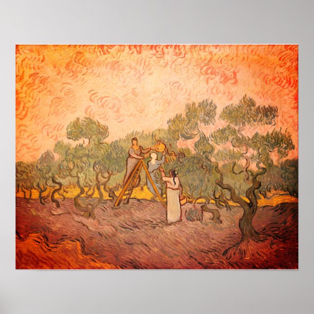Poster Women Picting Olives por van Gogh: (Frente)