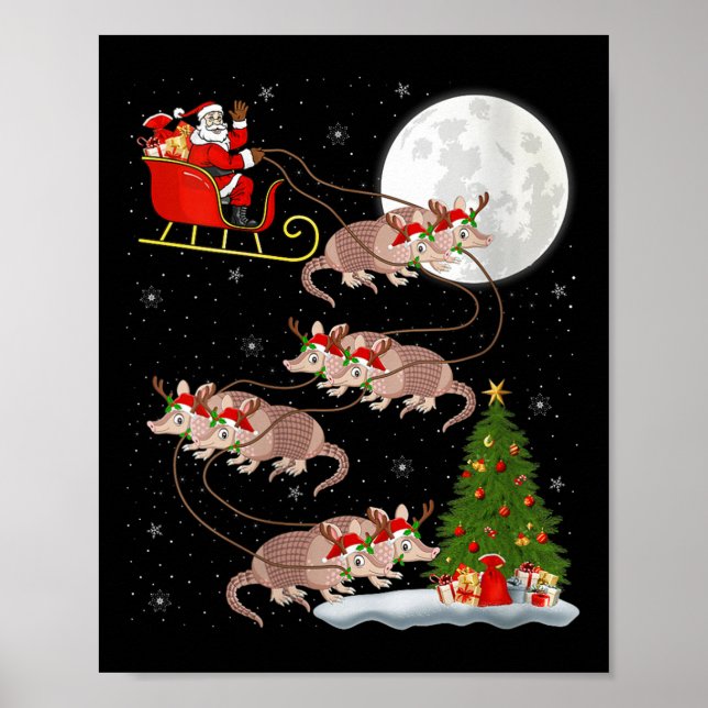 Poster Womens Armadillo Santa Sleigh Flying Funny Magical (Frente)