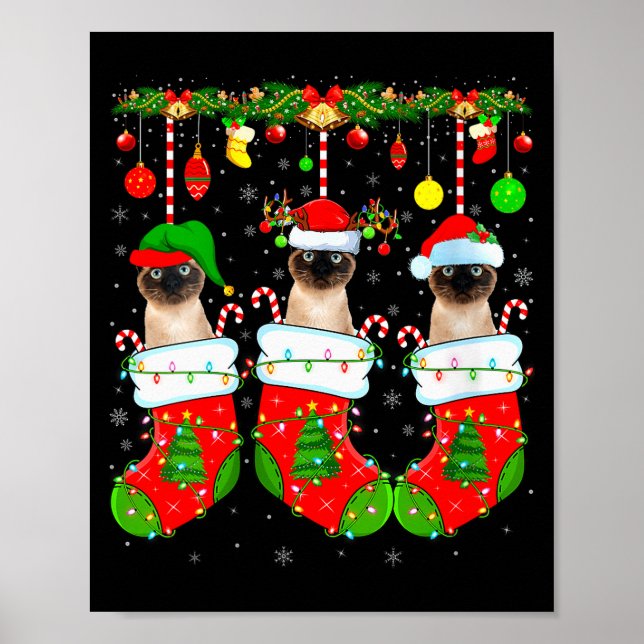 Poster Womens Siamese Cats In Christmas Socks Funny Cat X (Frente)