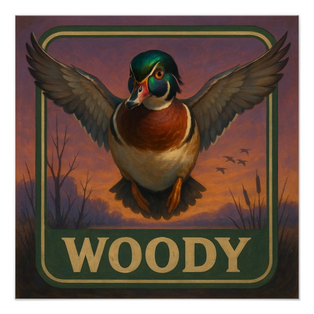 Pôster Wood Duck Poster (Frente)
