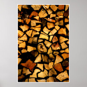 Poster Woodblock by Johannes Stötter