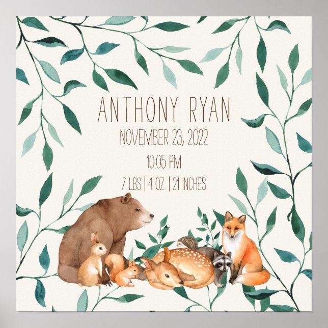 Poster Woodland Animal Friends Birds Stats (Frente)