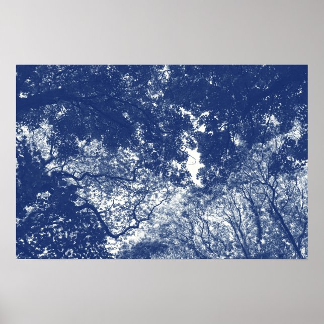 Poster Woodland Canopy 02 - Cyanotype Effect (Frente)