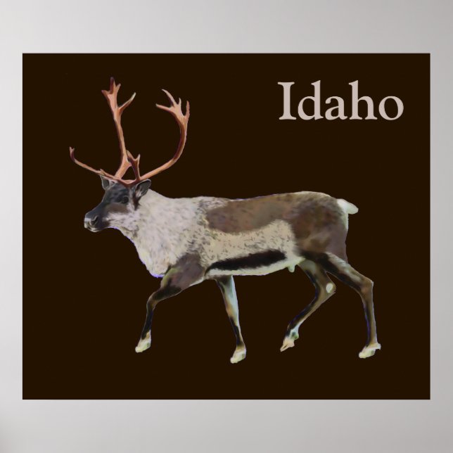 Poster Woodland Cariou (Frente)