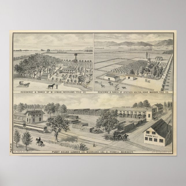 Pôster Woodland Lumber (Frente)