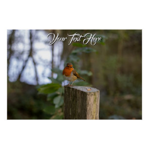 Pôster Woodland Robin Glossy Poster