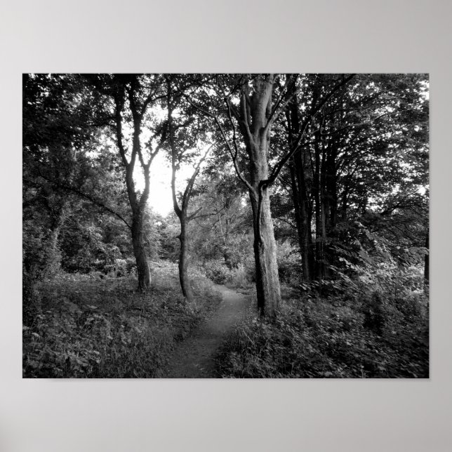 Poster Woods Bute Park, Cardiff (Frente)